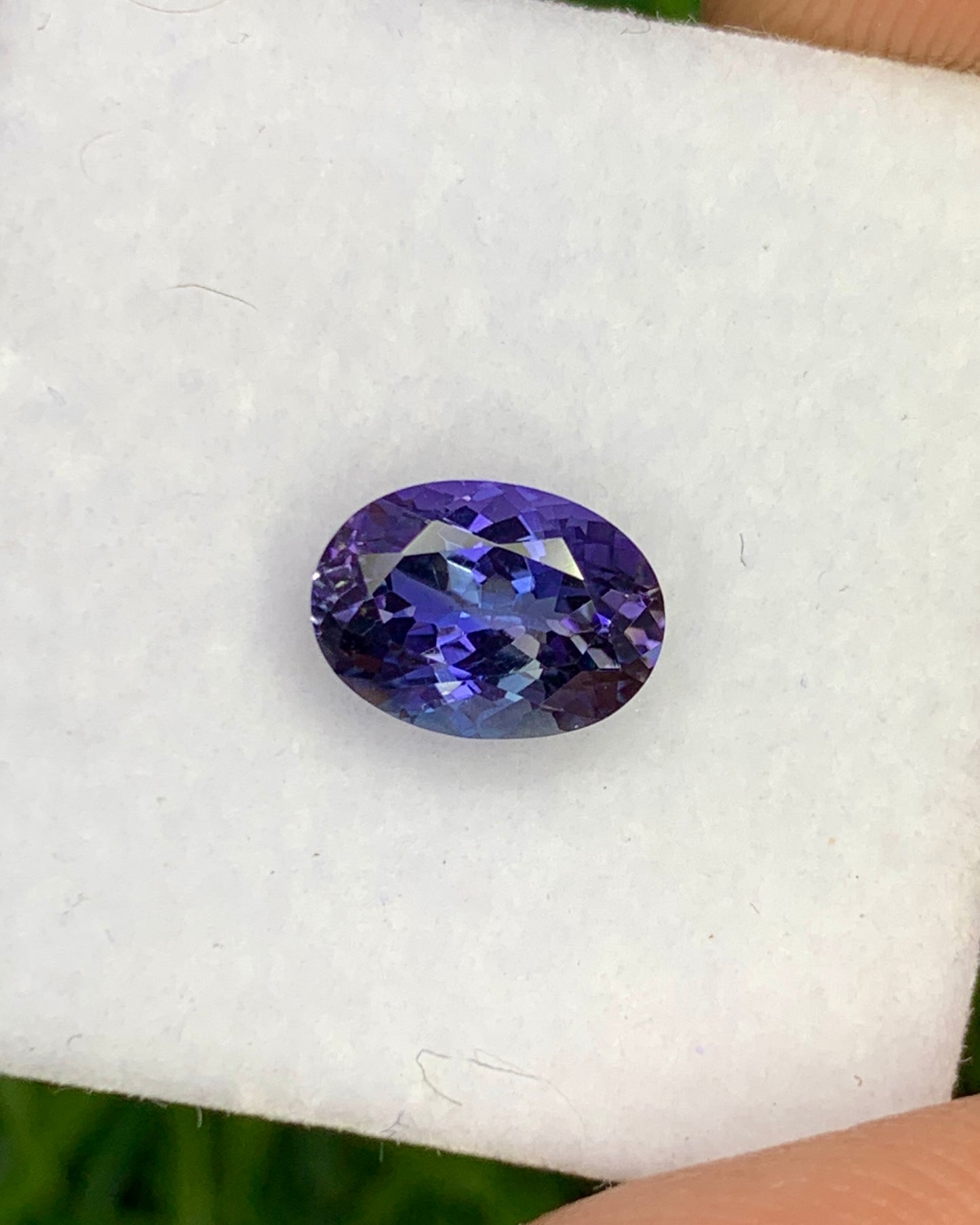 Natural Rare Unique Bi Color Tanzanite 1.25 Carat 7.7x5.6 MM Oval Shape Faceted Gemstone