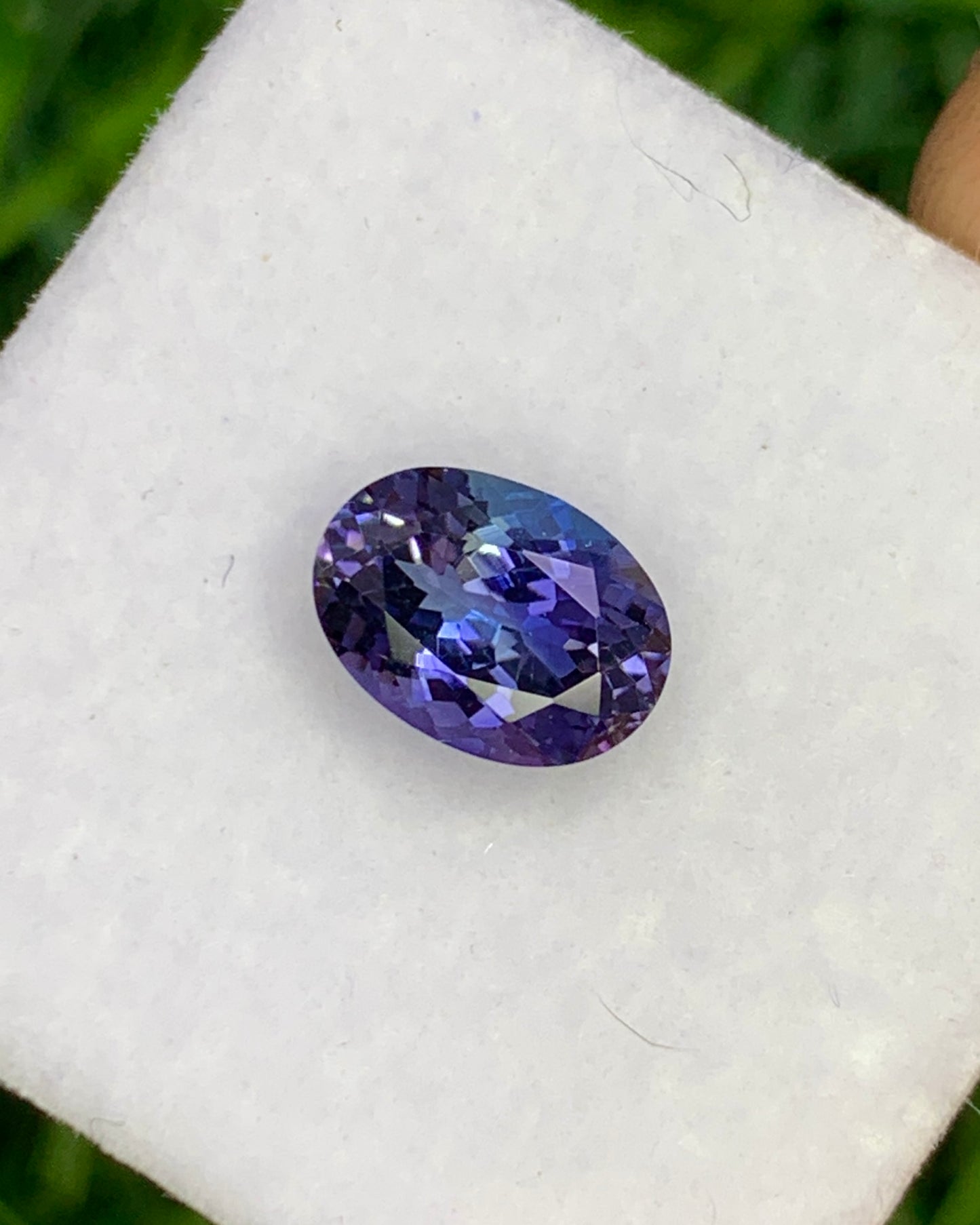 Natural Rare Unique Bi Color Tanzanite 1.25 Carat 7.7x5.6 MM Oval Shape Faceted Gemstone