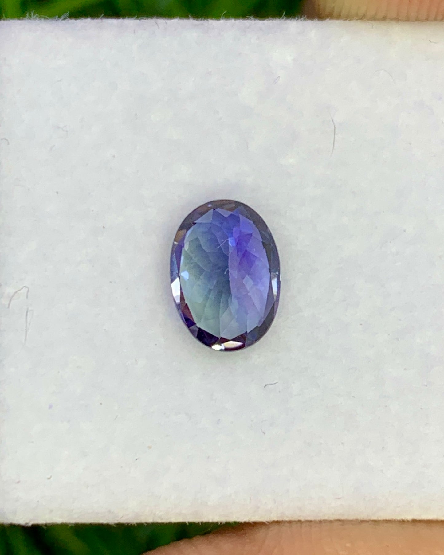 Natural Rare Unique Bi Color Tanzanite 1.25 Carat 7.7x5.6 MM Oval Shape Faceted Gemstone