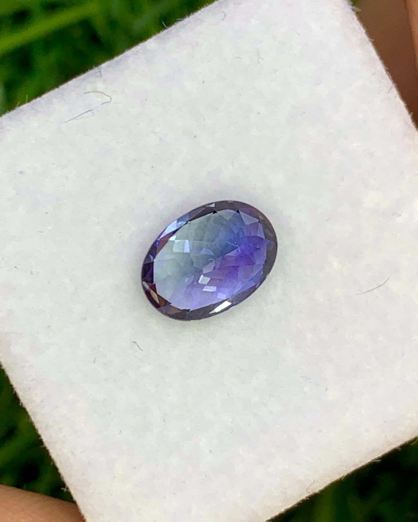 Natural Rare Unique Bi Color Tanzanite 1.25 Carat 7.7x5.6 MM Oval Shape Faceted Gemstone