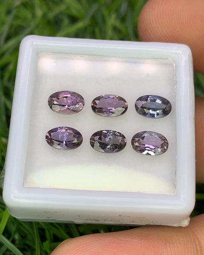 Natural Unheated Bi Color Tanzanite Lot 2.80 Carat 6x4 MM (Approx) Oval Shape Faceted Gemstone 6 Piece Lot