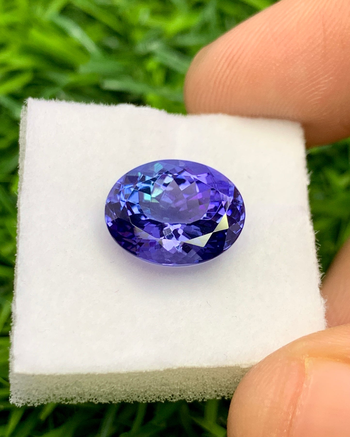 Natural Bi Color Tanzanite 5.21 Carat 12x9.7 MM Oval Shape Faceted Gemstone