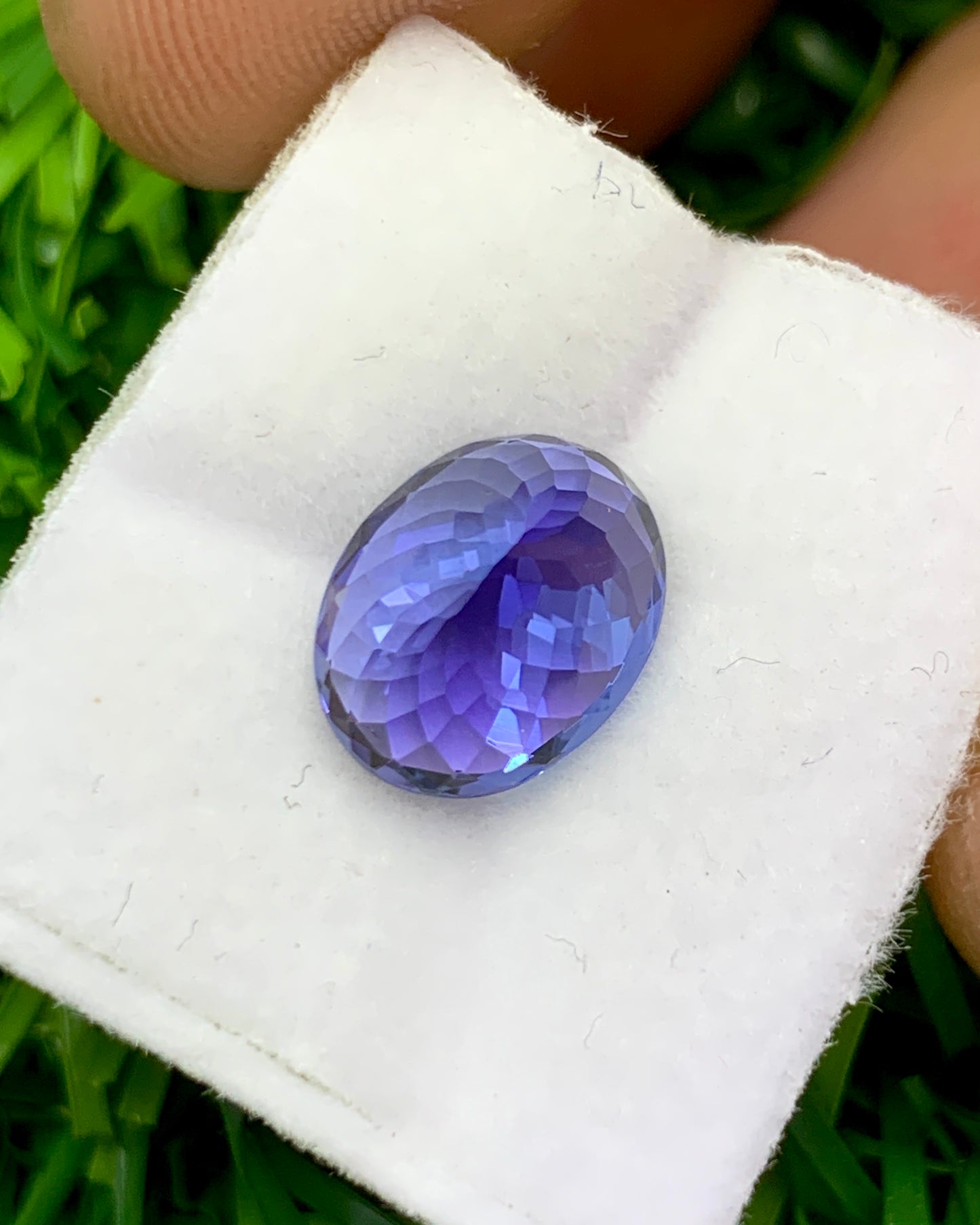 Natural Bi Color Tanzanite 3.23 Carat 10.2x8 MM Oval Shape Faceted Gemstone