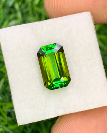 Natural Green Tourmaline 3.09 Carat 11.4x6.9 MM Octagon Shape Faceted Gemstone 