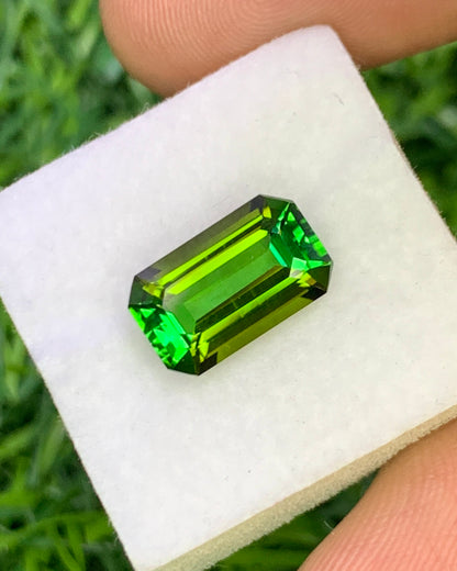 Natural Green Tourmaline 3.09 Carat 11.4x6.9 MM Octagon Shape Faceted Gemstone 