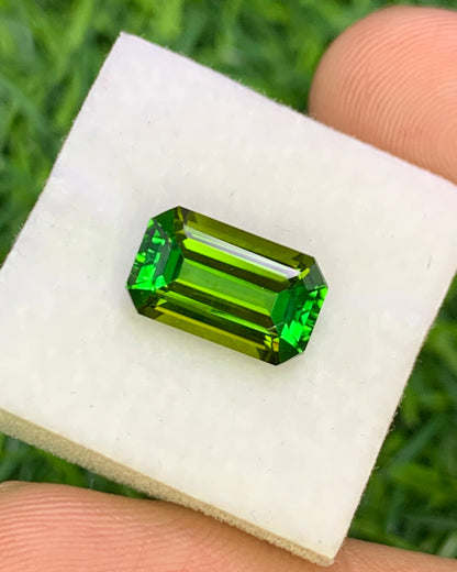 Natural Green Tourmaline 3.09 Carat 11.4x6.9 MM Octagon Shape Faceted Gemstone 