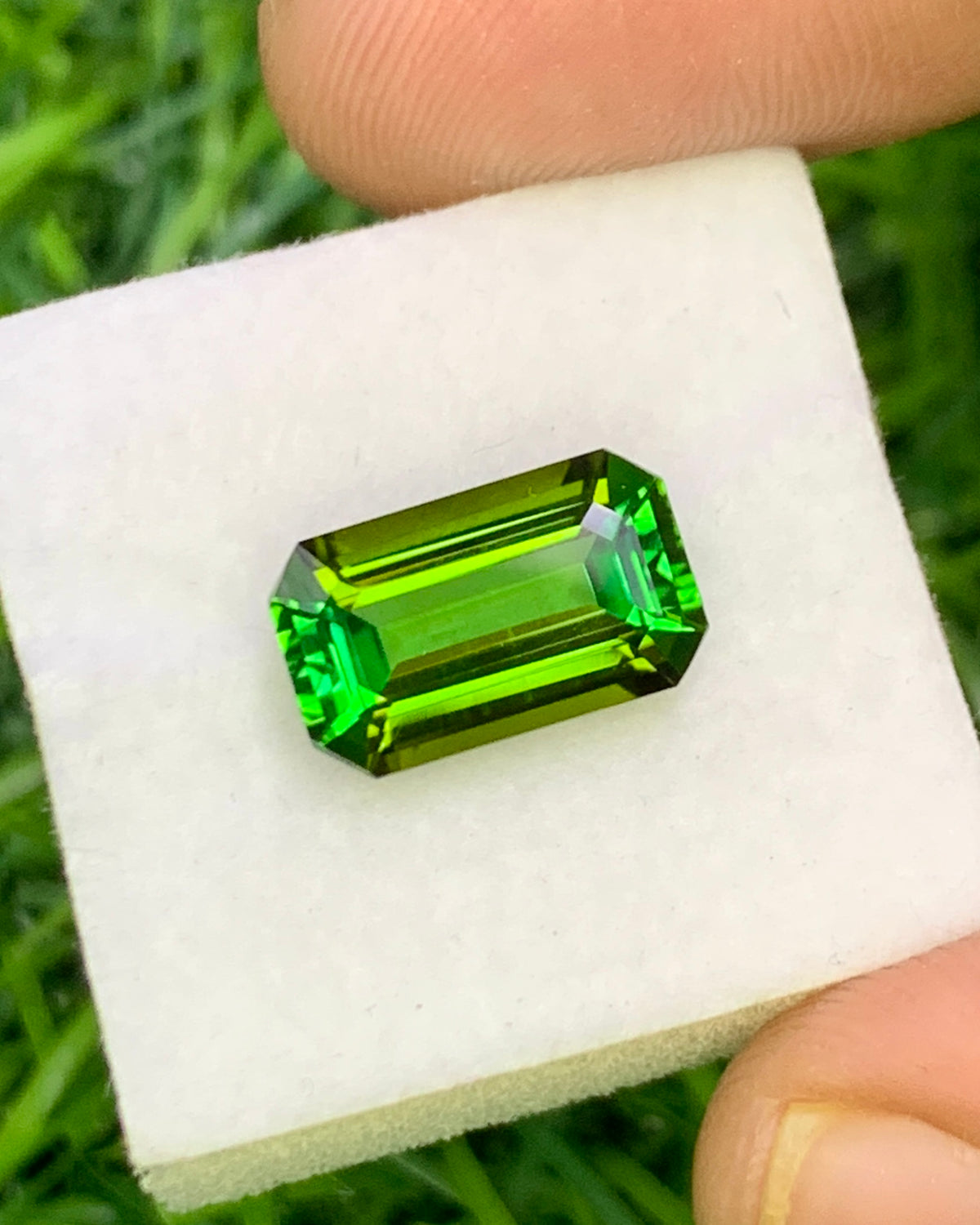 Natural Green Tourmaline 3.09 Carat 11.4x6.9 MM Octagon Shape Faceted Gemstone 