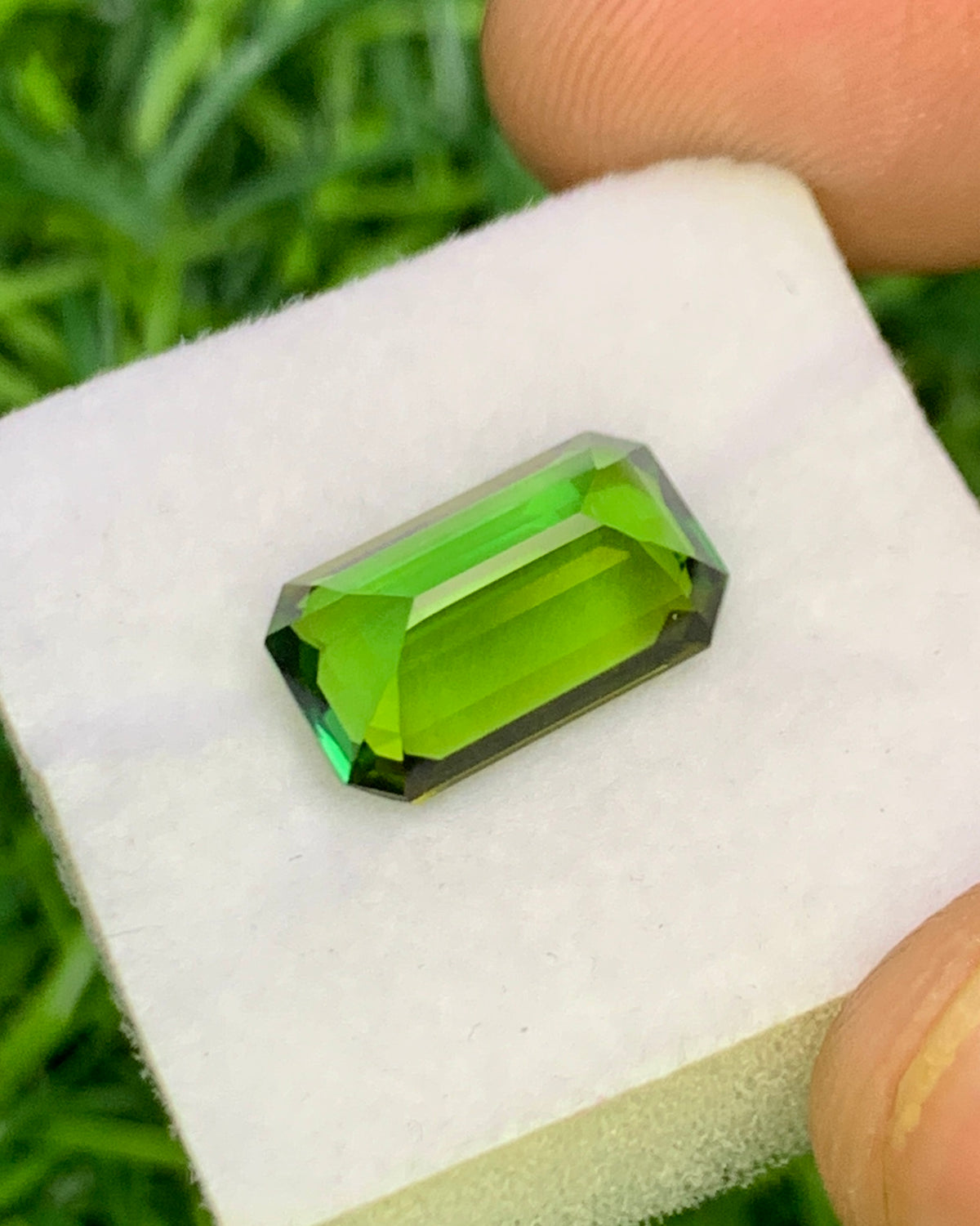 Natural Green Tourmaline 3.09 Carat 11.4x6.9 MM Octagon Shape Faceted Gemstone 