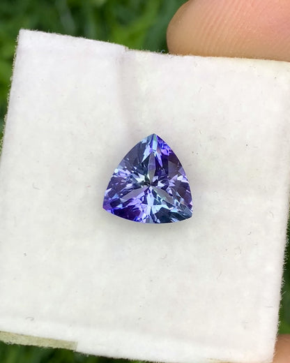 Natural Bi Color Tanzanite 1.38 Carat 7.8x7.8 MM Trillion Shape Faceted Gemstone