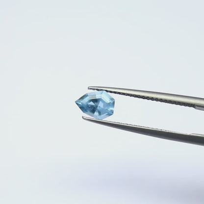 Natural Aquamarine 0.70 Carat 7.6x5.9 MM Fancy Shape Faceted Gemstone