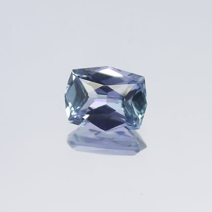 Natural Bi-Color Tanzanite 1.10 Carat 7.3x5.8 MM Fancy Shape Faceted Gemstone