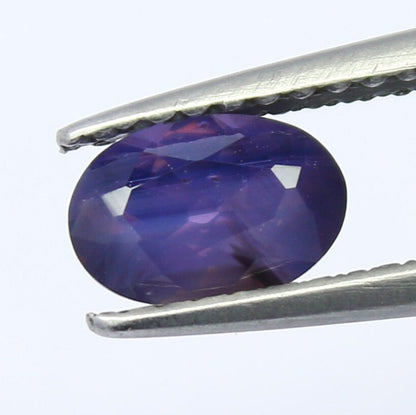 Natural Sapphire 0.73 Carat 6.6x4.5 MM Oval Shape Faceted Gemstone