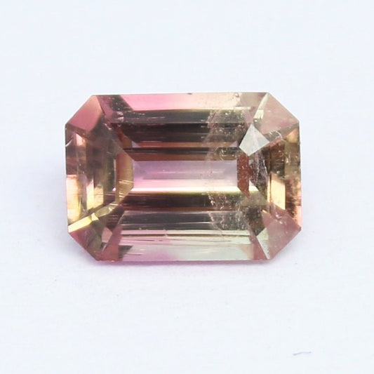 Natural Bi-Color Tourmaline 0.88 Carat 6.8X4.9 MM Octagon Shape Faceted Gemstone